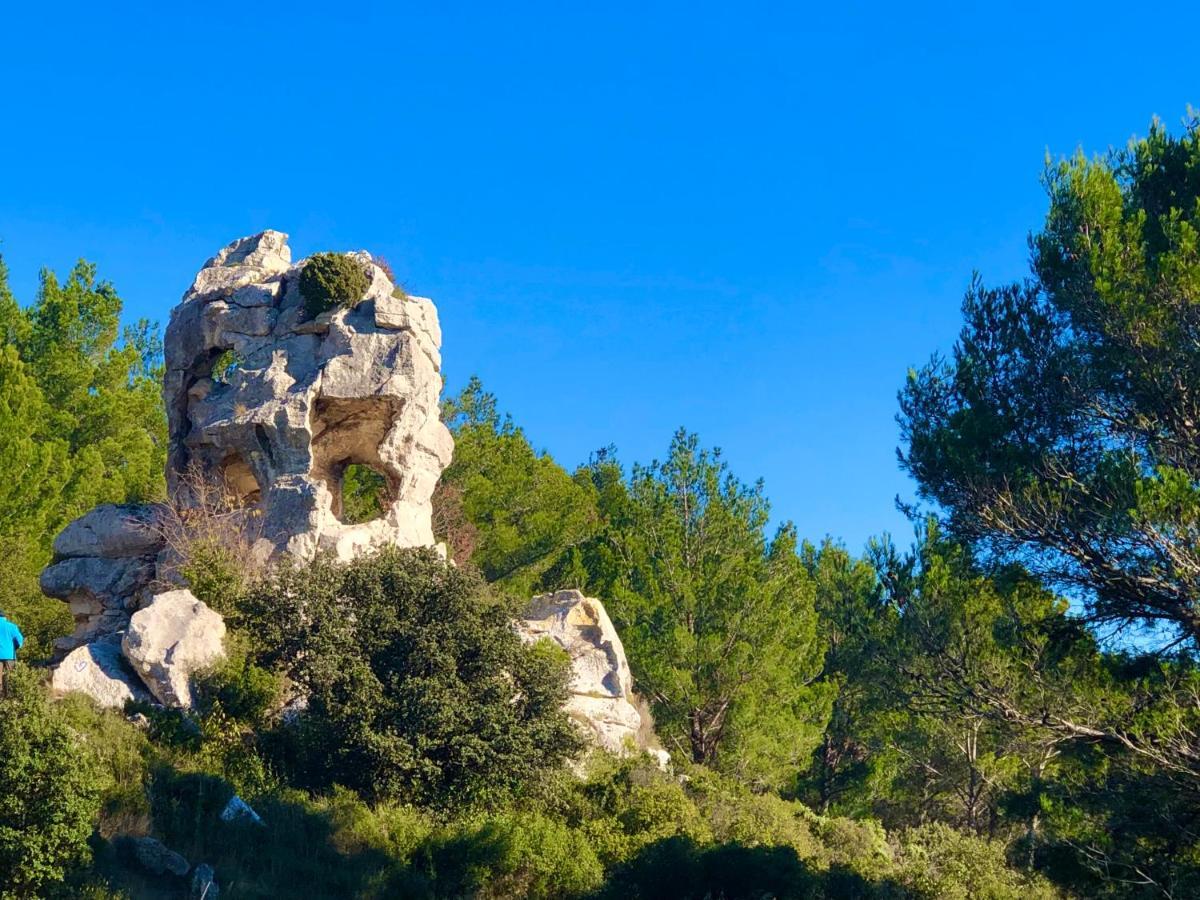 Lou Meinado Saint-Martin-de-Crau Dış mekan fotoğraf
