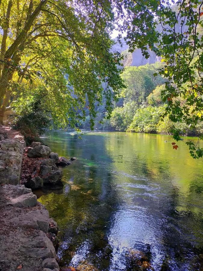 Lou Meinado Saint-Martin-de-Crau Dış mekan fotoğraf
