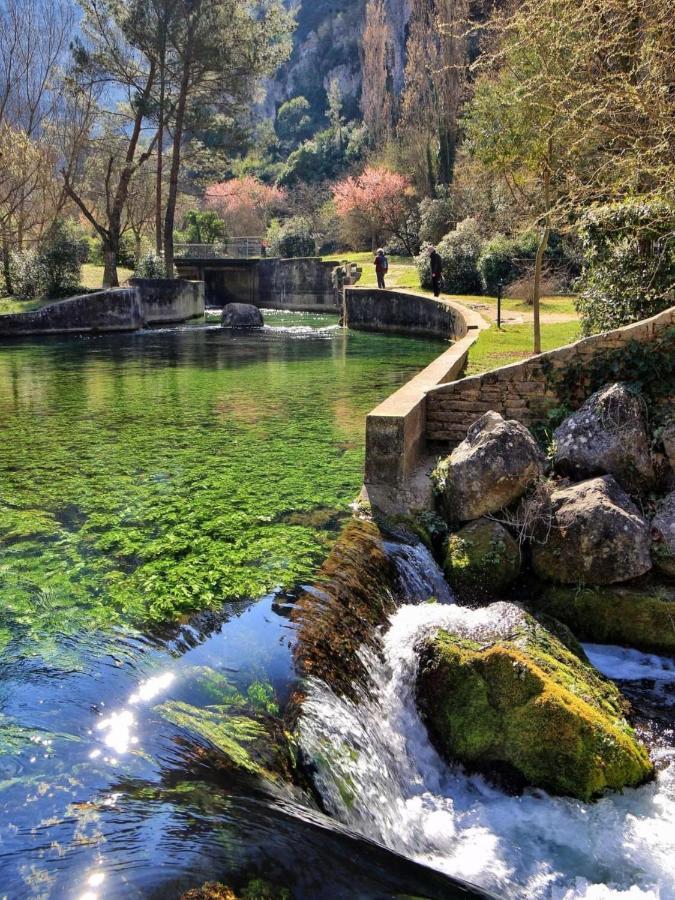 Lou Meinado Saint-Martin-de-Crau Dış mekan fotoğraf