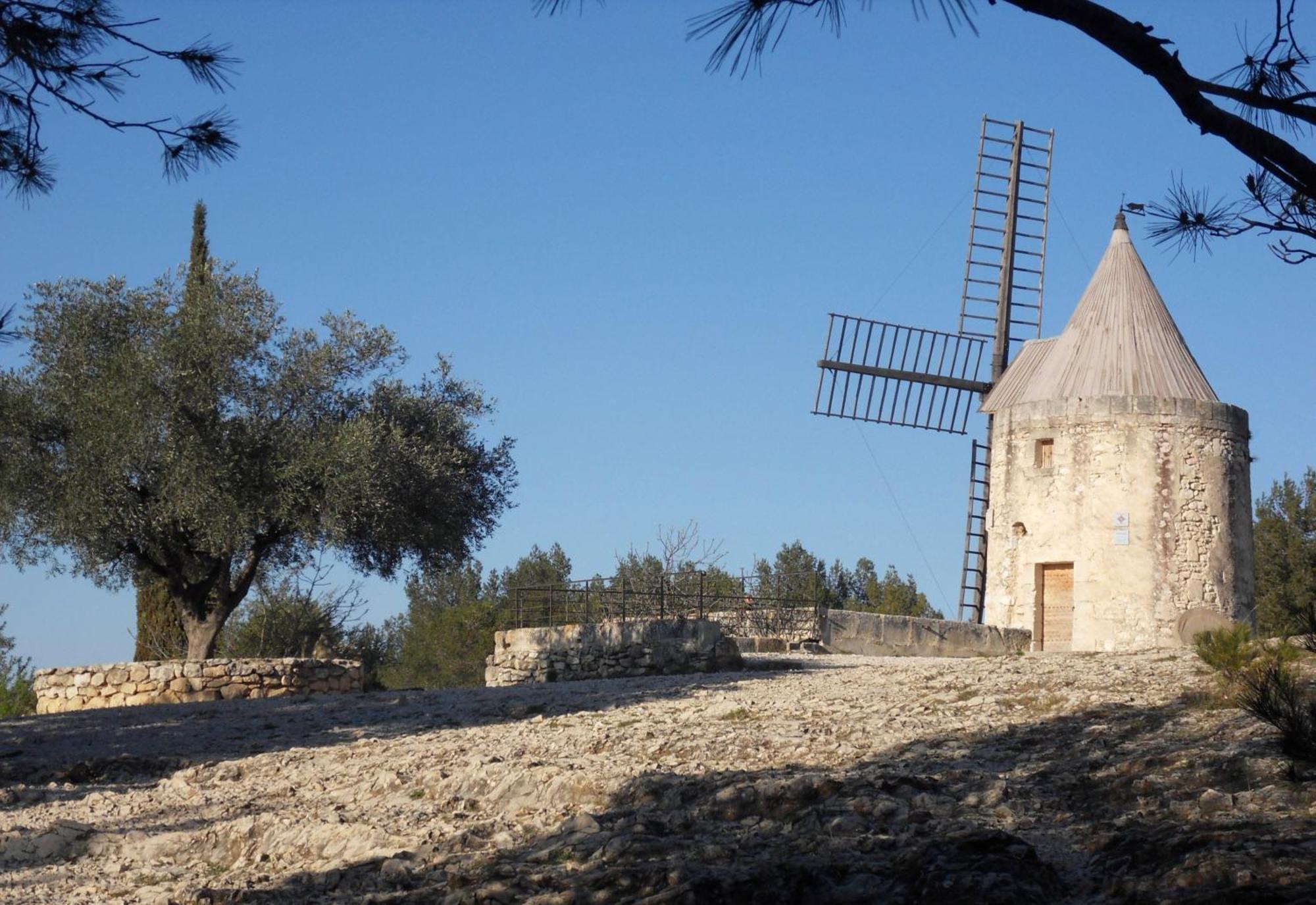 Lou Meinado Saint-Martin-de-Crau Dış mekan fotoğraf